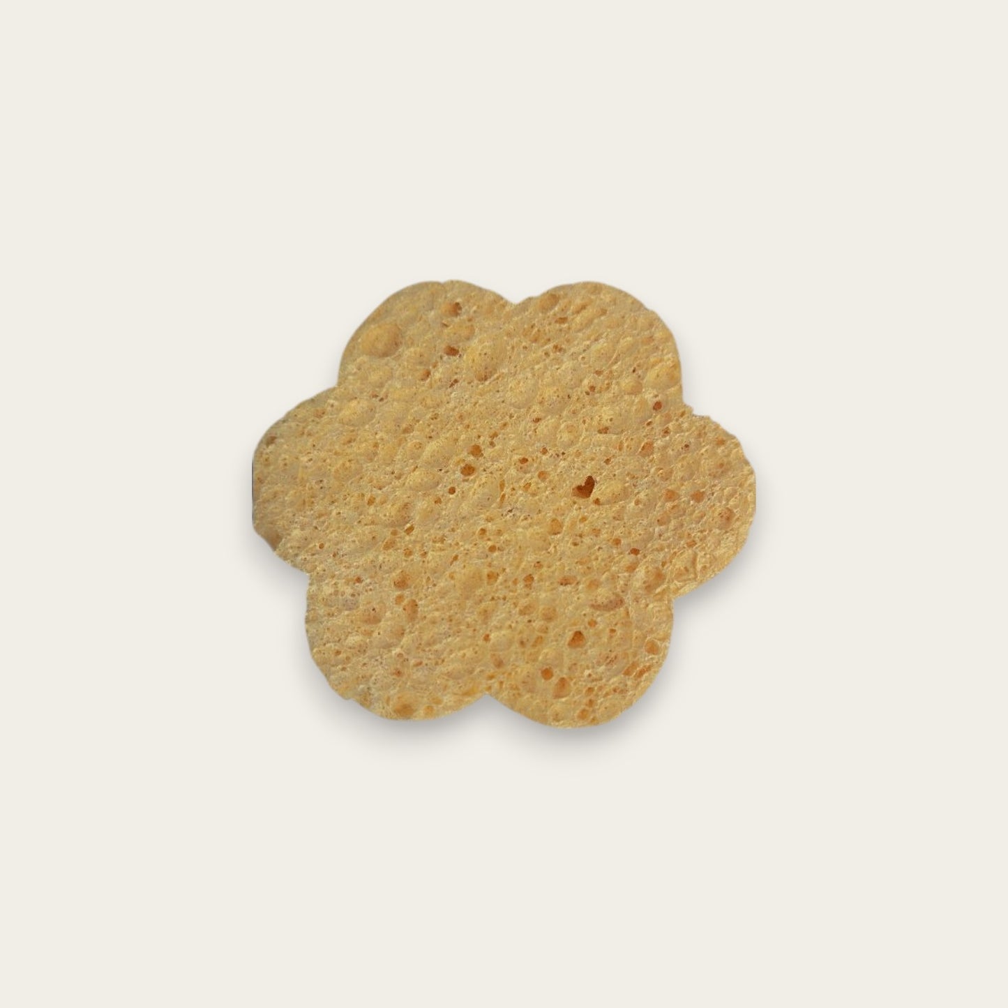 Esponja Facial 8 CM